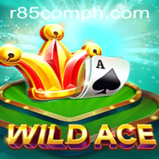 Unlocking the Adventure: Exploring WildAce at R85.com